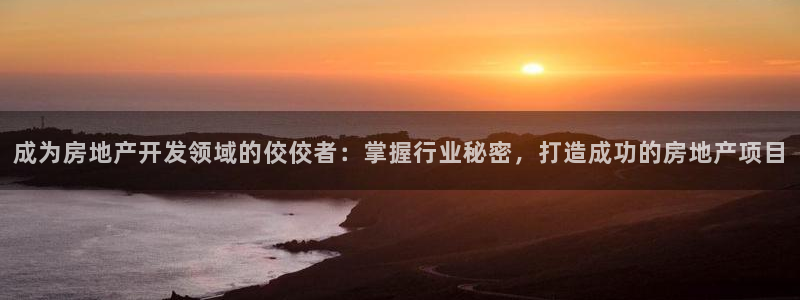 永利皮革