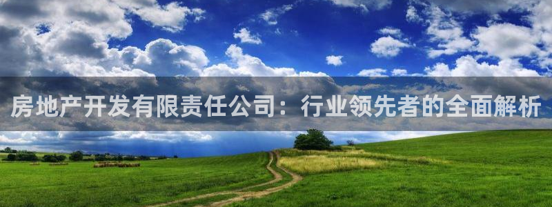 永利制带