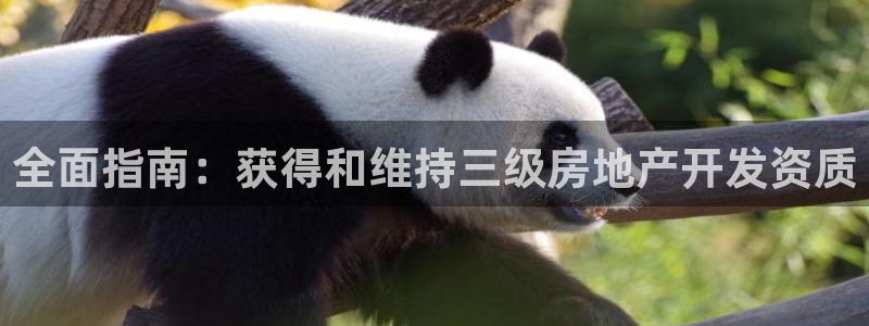 永利游乐城网址是多少