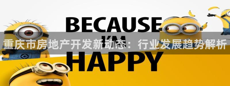 永利皮带报价