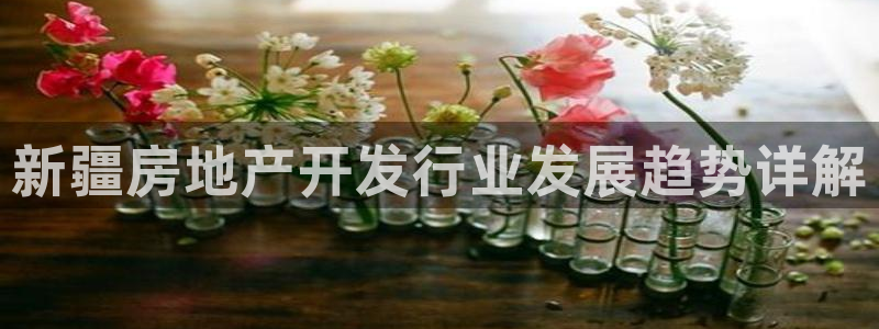 永利总裁