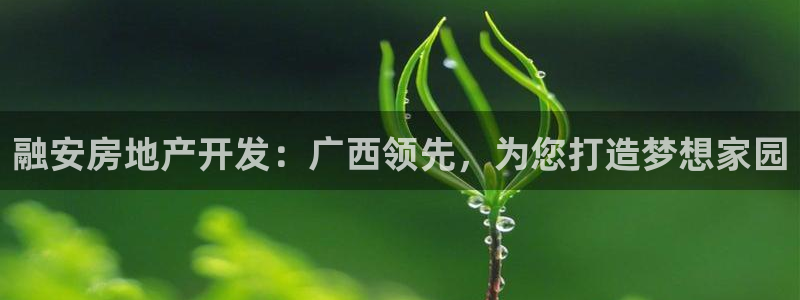 永利集团简介