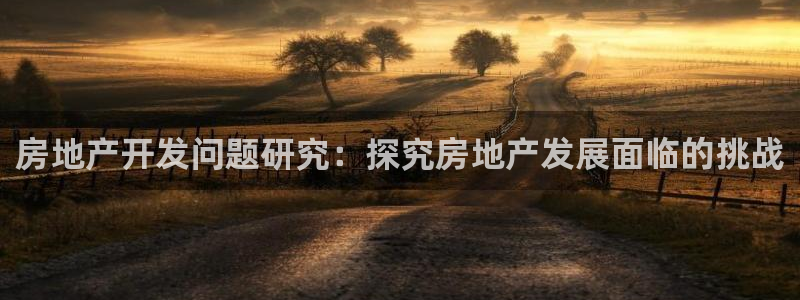 永利房地产开发有限公司总经理
