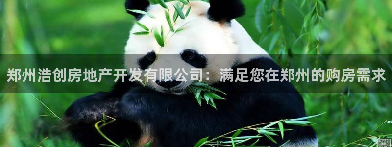 永利官网正网
