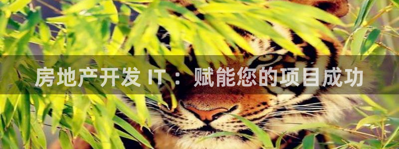 永利汇茶具有限公司