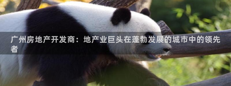 永利精工董事长