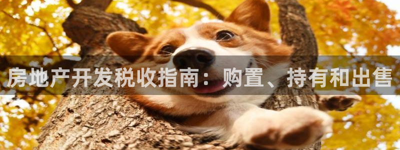 佛山永利工业皮带厂怎么样