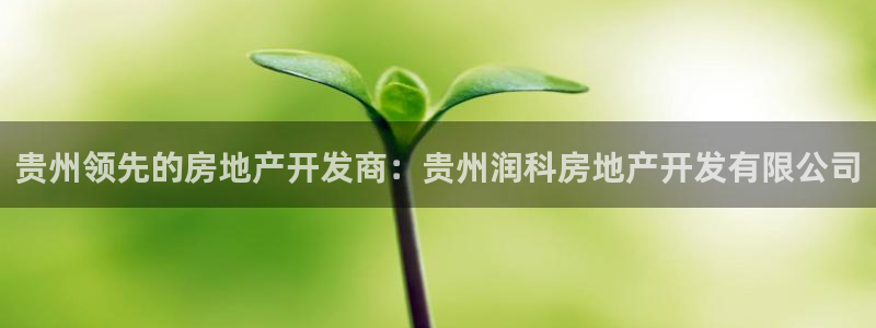 永利pc网址
