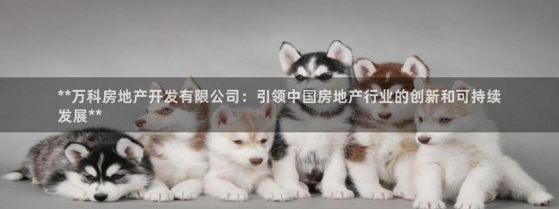 永利家具厂怎么样