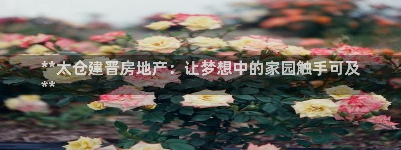 佛山永利工业皮带厂怎么样