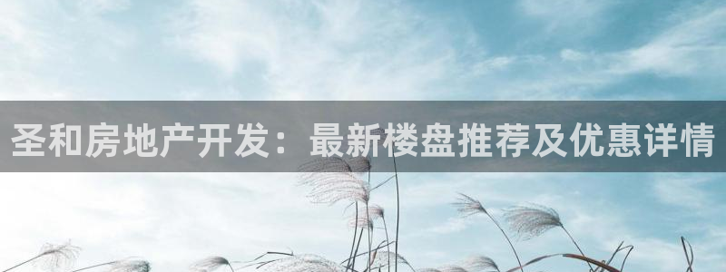 永利皮革