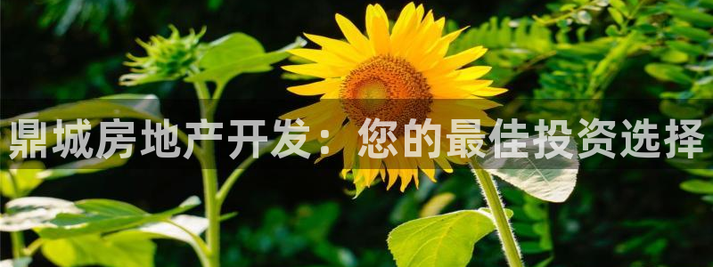 佛山永利实业有限公司