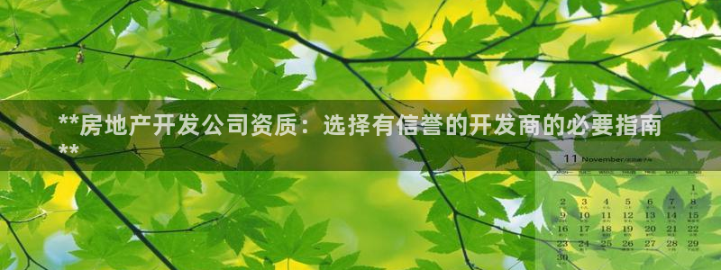 莱州永利集团