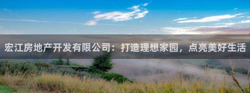 永利有限责任公司