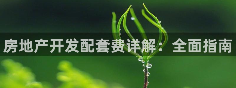 永利皇府黄立青身价