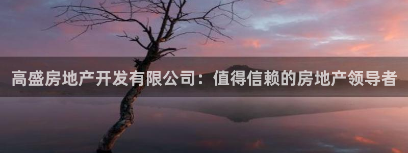 3044am永利集团公司背景