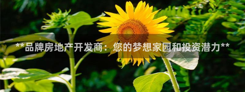 永利餐厅怎么样