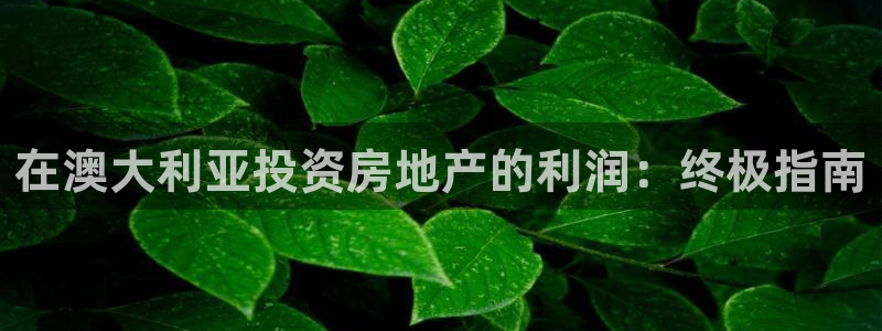 永利背一分什么价格