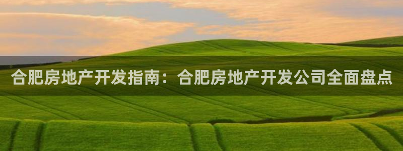 佛山永利工业皮带有限公司