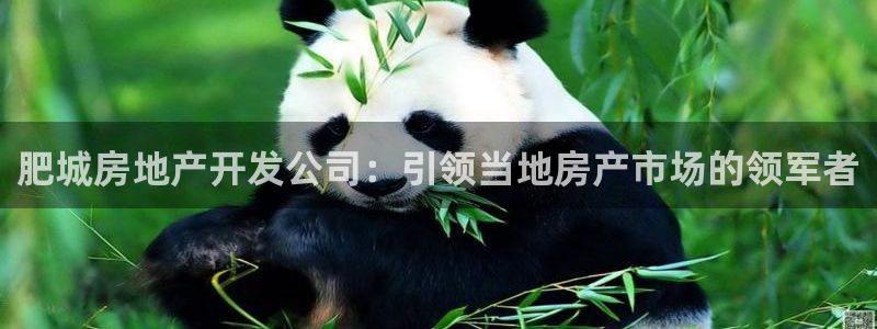 永利皮带官网旗舰店