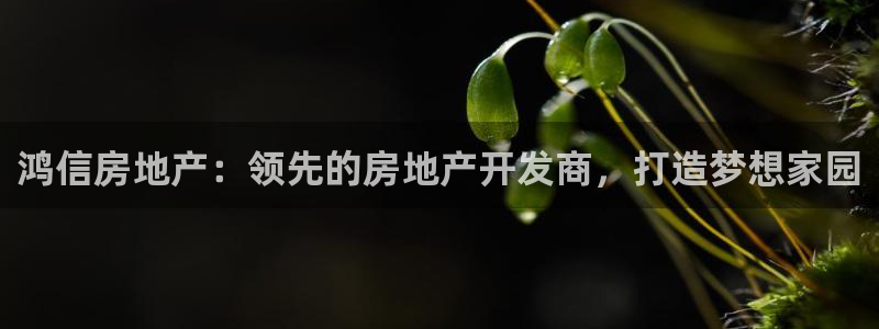 永利 官网