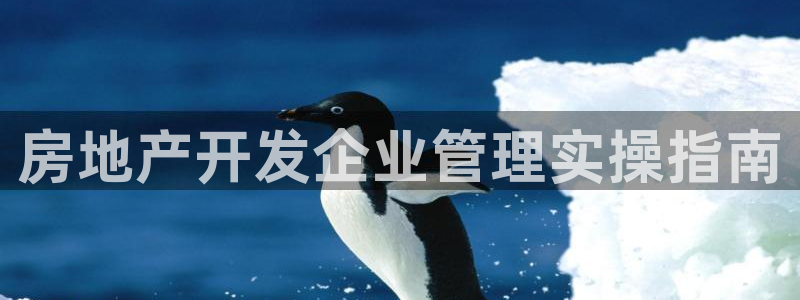 永利皮带型号说明