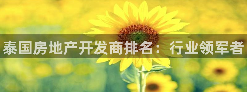 佛山王永利工业皮带有限公司