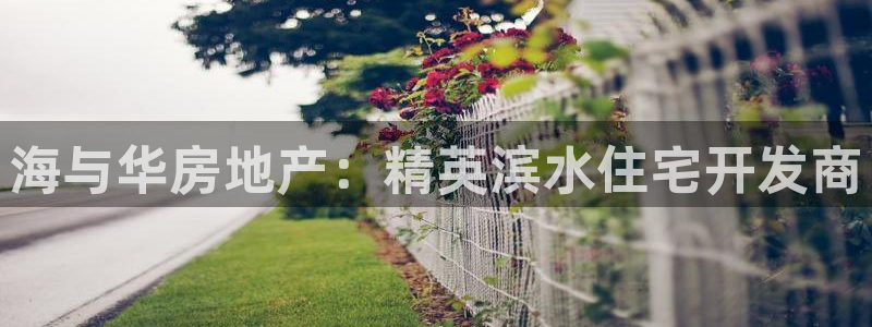 永利金控控股有限公司