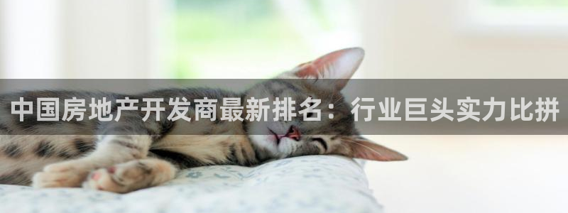 永利汇团购