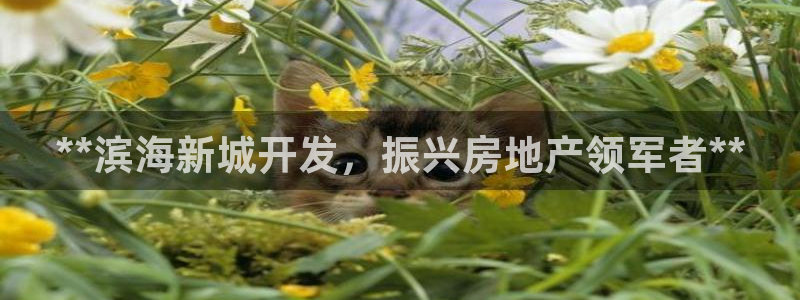 永利来织带厂