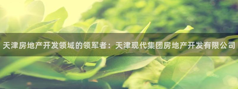 永利 老板
