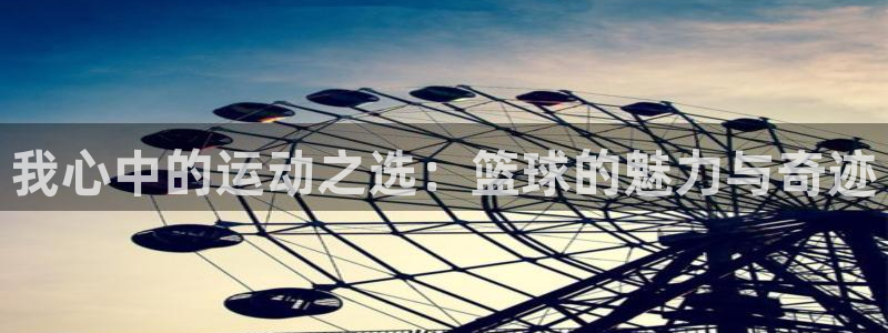 球客岛：我心中的运动之选：篮球的魅力与奇迹