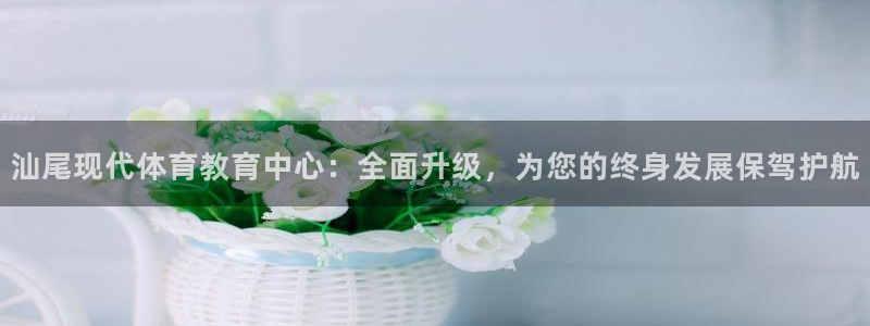 球客岛：汕尾现代体育教育中心：全面升级，为您的终身发展保驾护航
