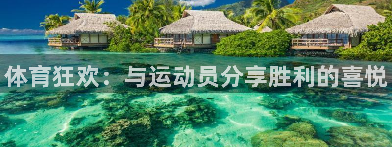 球客岛：体育狂欢：与运动员分享胜利的喜悦