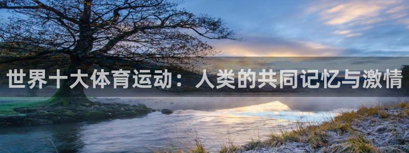球客岛：世界十大体育运动：人类的共同记忆与激情